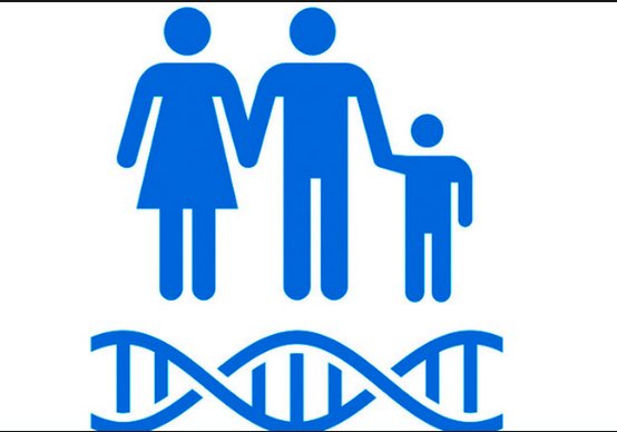 مشاوره ژنتیک؛ رمزگشایی در مسیر سلامتی