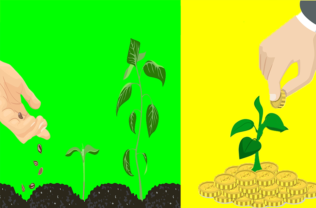 آگهی/ نهالستان و باغداری مکانیزه | برگ برنده صنعت کشاورزی 7 1705920442 737 آگهی نهالستان و باغداری مکانیزه برگ برنده صنعت کشاورزی