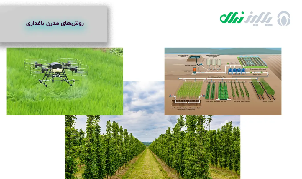 آگهی/ نهالستان و باغداری مکانیزه | برگ برنده صنعت کشاورزی