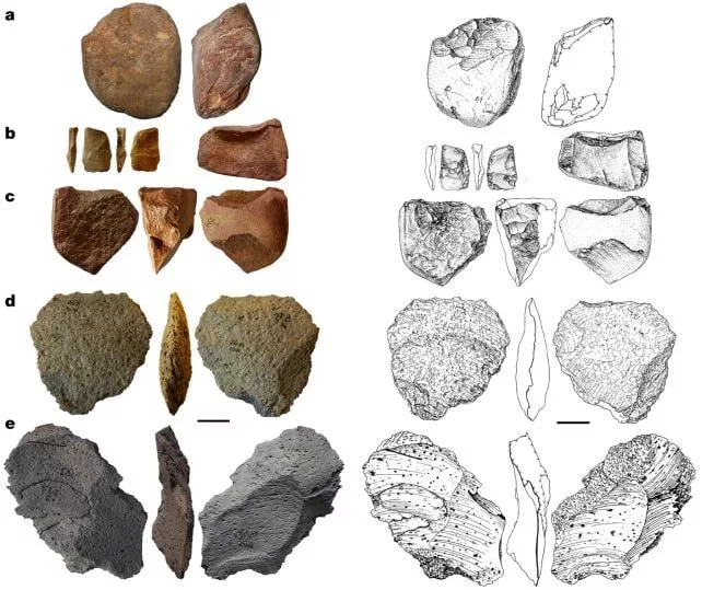 1710110259 762 باستان‌شناسان قدیمی‌ترین شواهد وجود انسان در اروپا را کشف کردند.webp