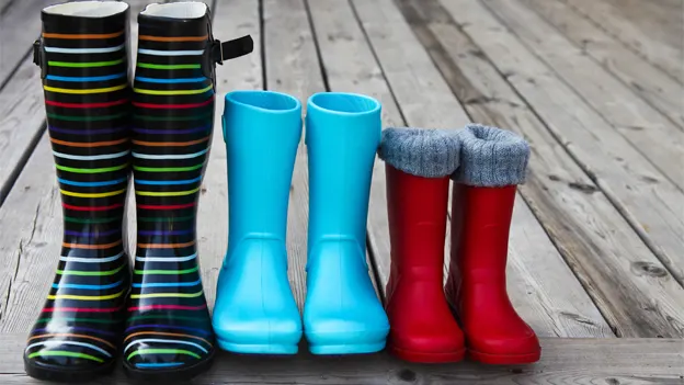 ۶ سبک رهبری دانیل گلمن + بهترین سبک رهبری برای من کدام است؟ 6 ۶ سبک رهبری دانیل گلمن بهترین سبک رهبری برای.webp