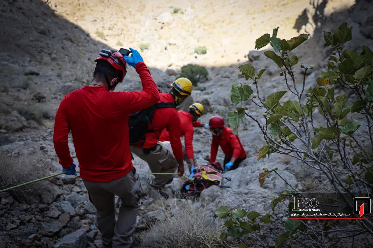 IMG_20240809_162228_783