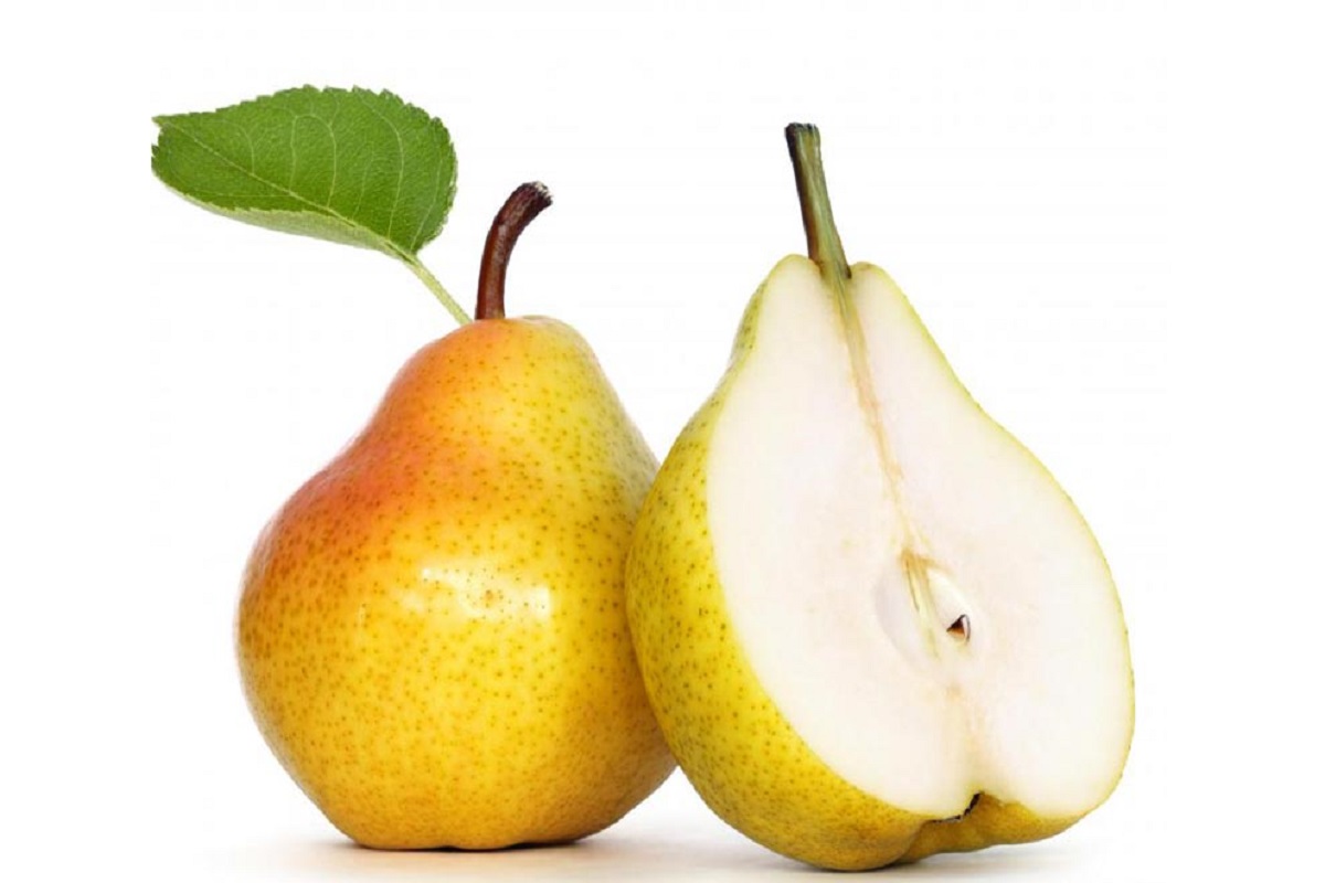 طبع گلابی سرد است یا گرم؟ 9 گلابی (1)