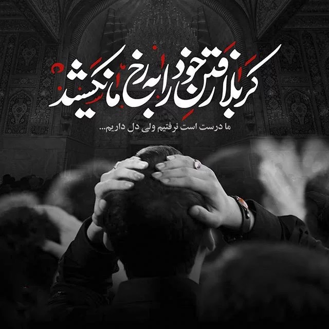 تصاویر با کیفیت اربعین حسینی (4)