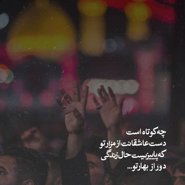 تصاویر با کیفیت اربعین حسینی (53)