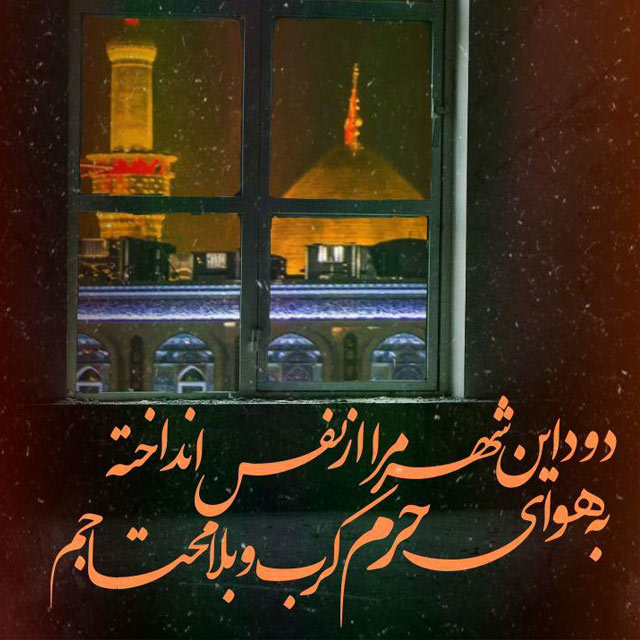 تصاویر با کیفیت اربعین حسینی (48)