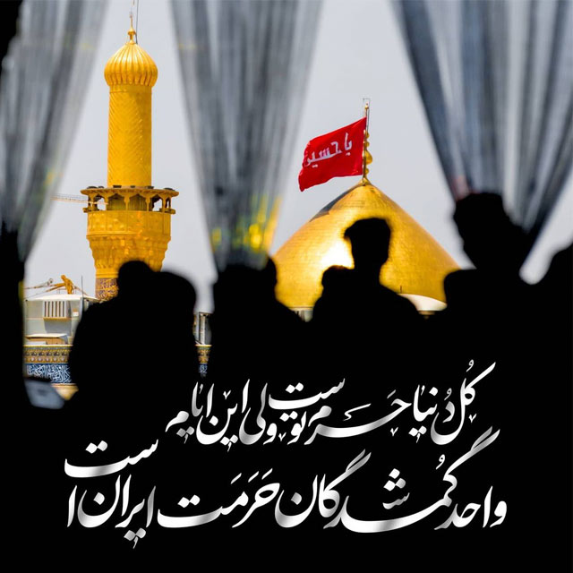 تصاویر با کیفیت اربعین حسینی (50)