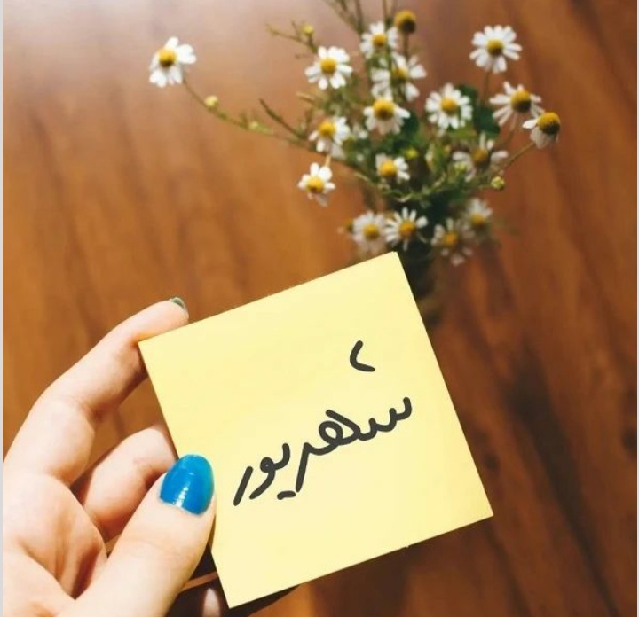 shahrivars profile (5)