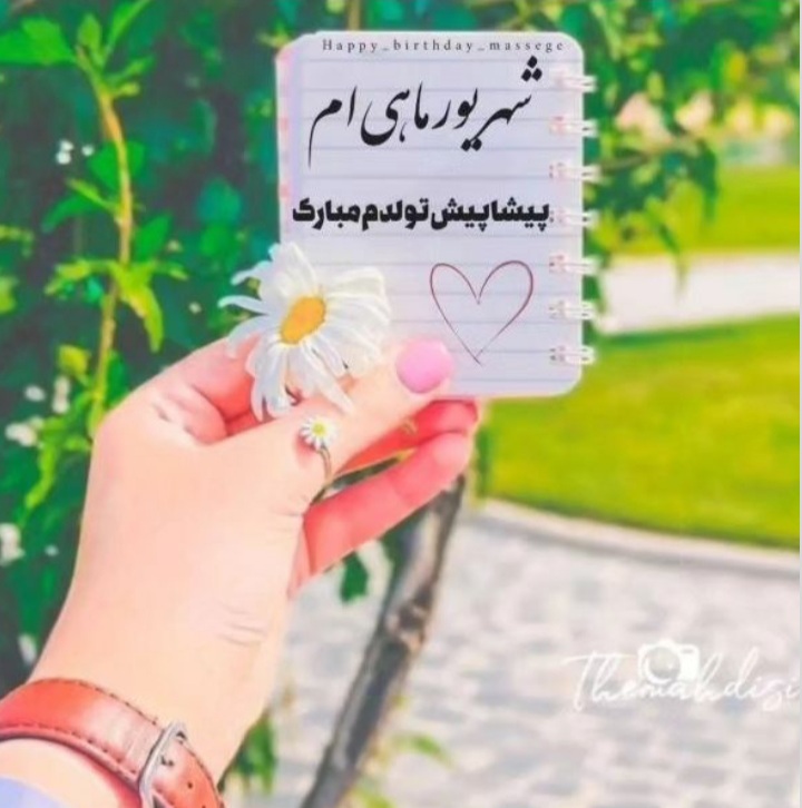 shahrivars profile (4)