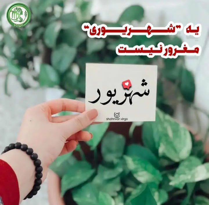 shahrivars profile (6)