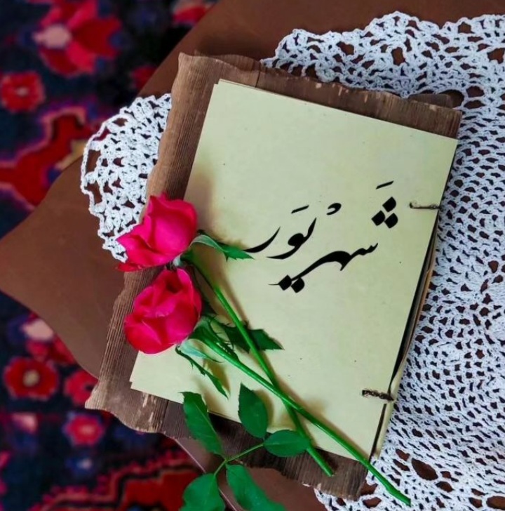 shahrivars profile (12)