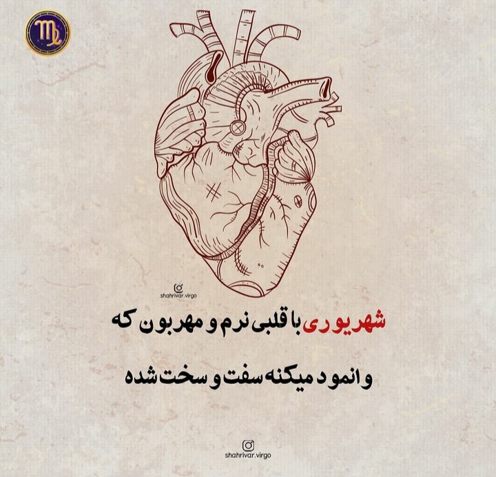 shahrivars profile (23)