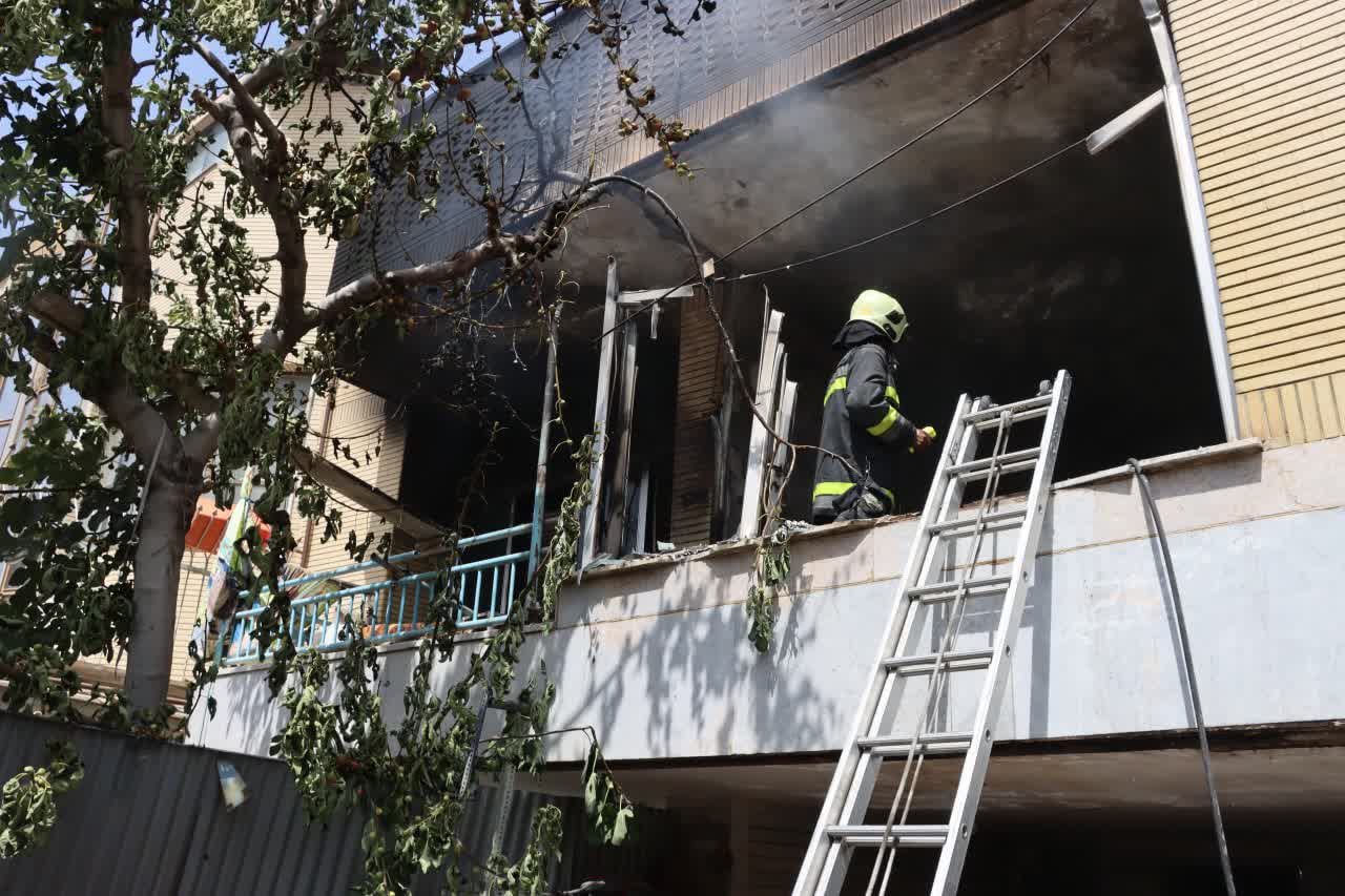 IMG_20240819_152342_384