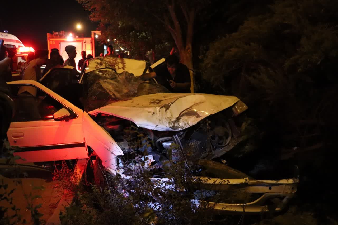 IMG_20240830_063205_184