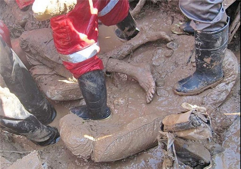 حوادث کار در ۴ ماه جان ۴۹ نفر را گرفت