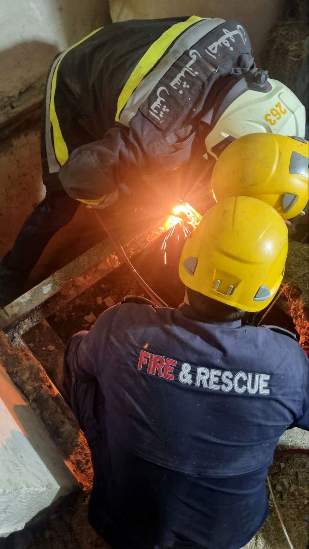 سقوط اسب در زیرزمین اسطبل+عکس و فیلم