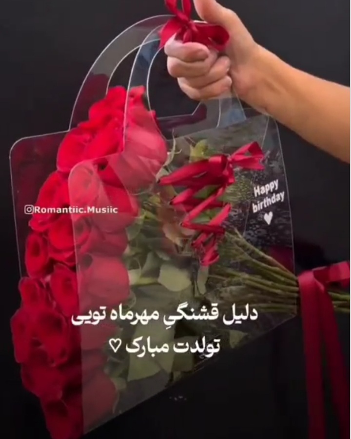 mehrmahi profile (3)