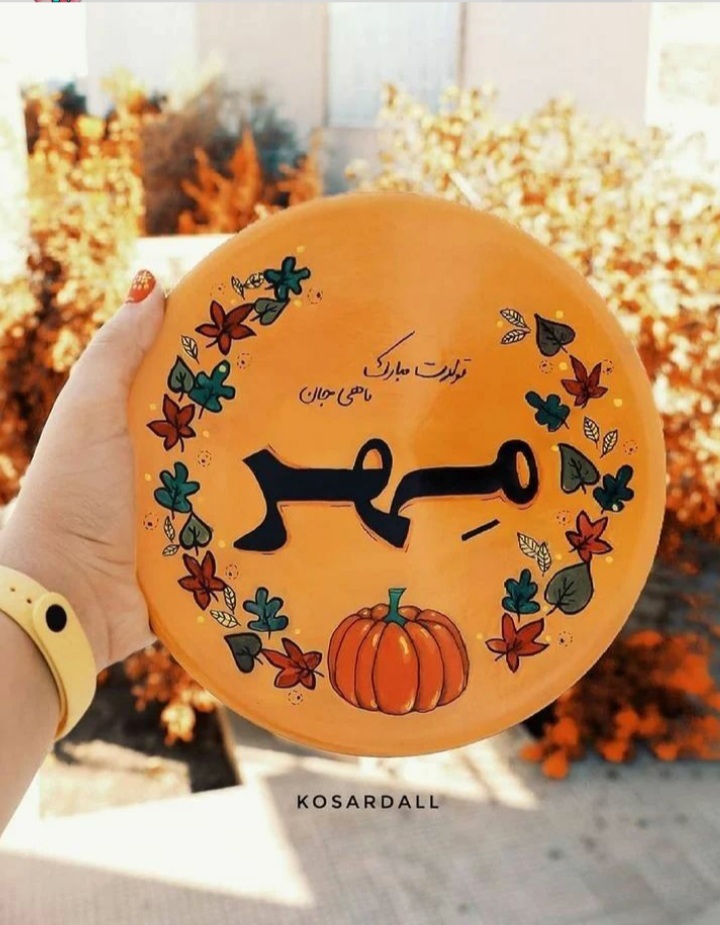 mehrmahi profile (4)