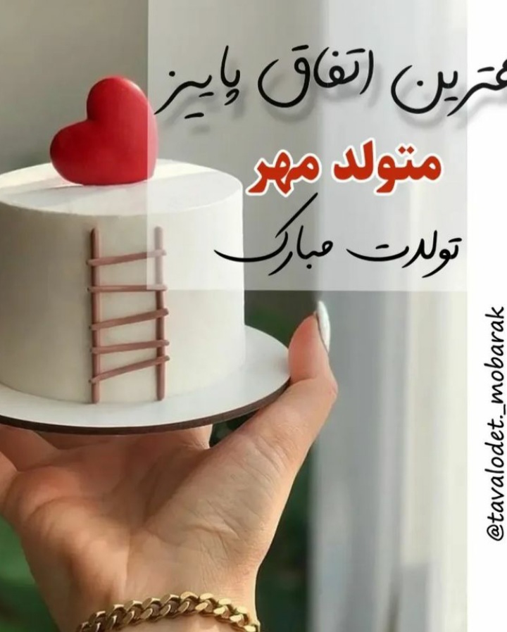 mehrmahi profile (6)