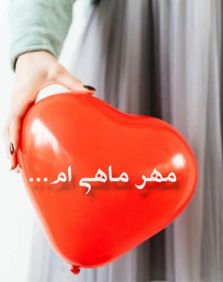 mehrmahi profile (7)