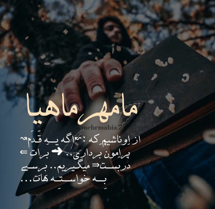 mehrmahi profile (16)