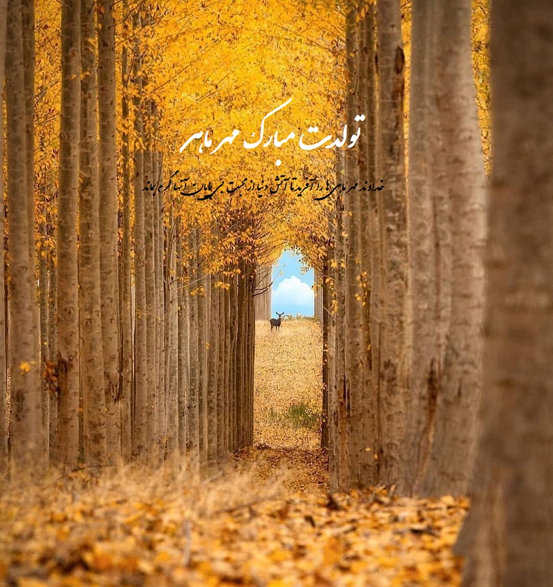 mehrmahi profile (22)