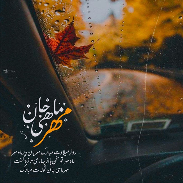 mehrmahi profile (29)