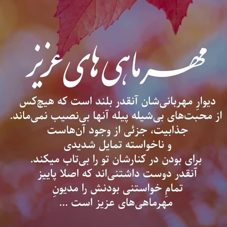 mehrmahi profile (34)