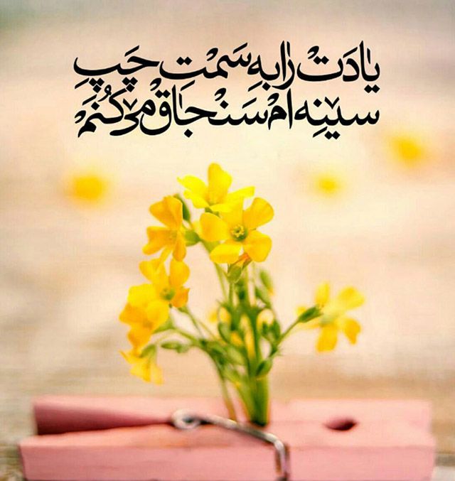 عکس تبریک آغاز امامت امام زمان (2)