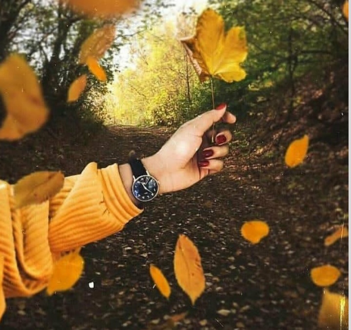 مجموعه ۴۳ عکس پروفایل پاییزی جدید برای شبکههای اجتماعی و پسزمینه منتشر شد 2 عکس پروفایل پاییزی جدید (1)