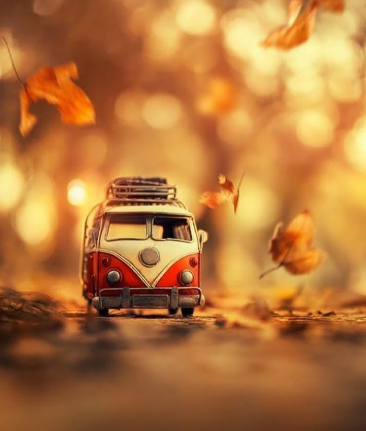 عکس پروفایل پاییزی جدید (7)