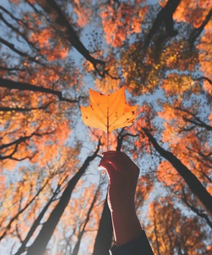 عکس پروفایل پاییزی جدید (13)