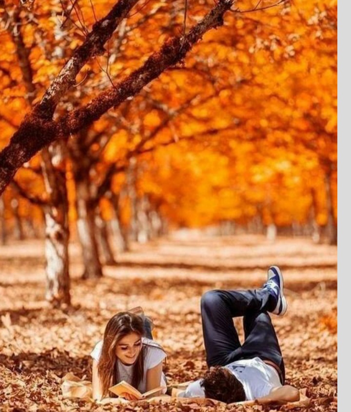 مجموعه ۴۳ عکس پروفایل پاییزی جدید برای شبکههای اجتماعی و پسزمینه منتشر شد 18 عکس پروفایل پاییزی جدید (17)