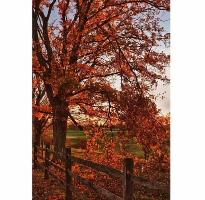 عکس پروفایل پاییزی جدید (19)