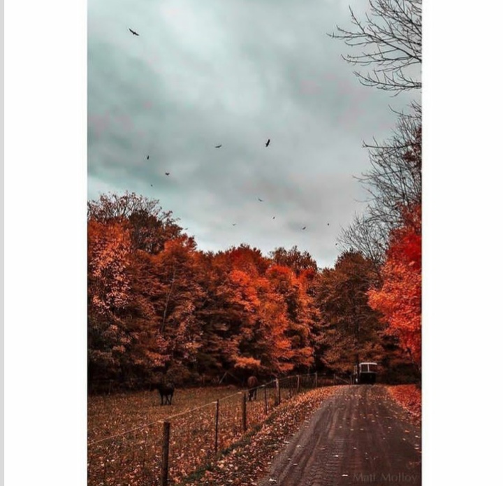 عکس پروفایل پاییزی جدید (18)