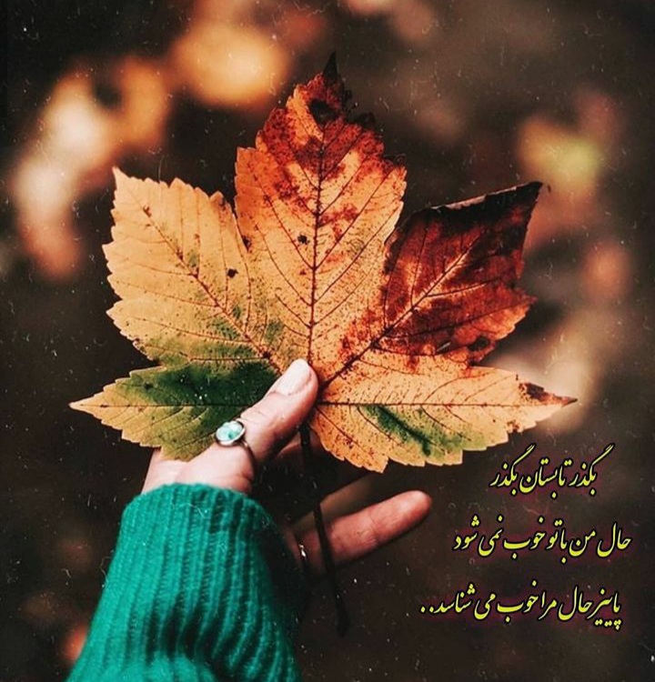 مجموعه ۴۳ عکس پروفایل پاییزی جدید برای شبکههای اجتماعی و پسزمینه منتشر شد 30 عکس پروفایل پاییزی جدید (29)