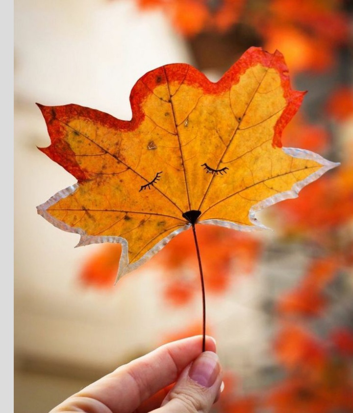 عکس پروفایل پاییزی جدید (31)