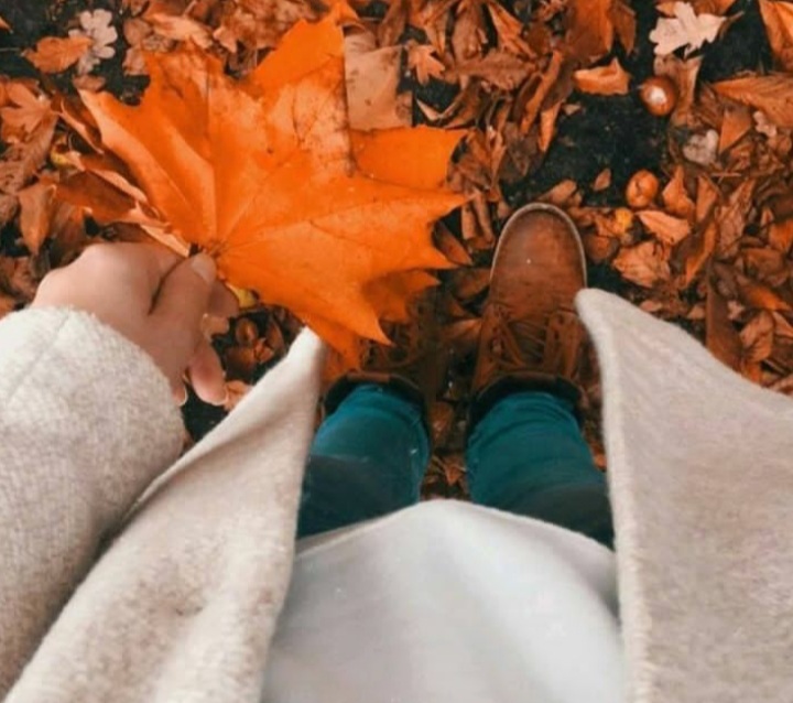 مجموعه ۴۳ عکس پروفایل پاییزی جدید برای شبکههای اجتماعی و پسزمینه منتشر شد 33 عکس پروفایل پاییزی جدید (32)