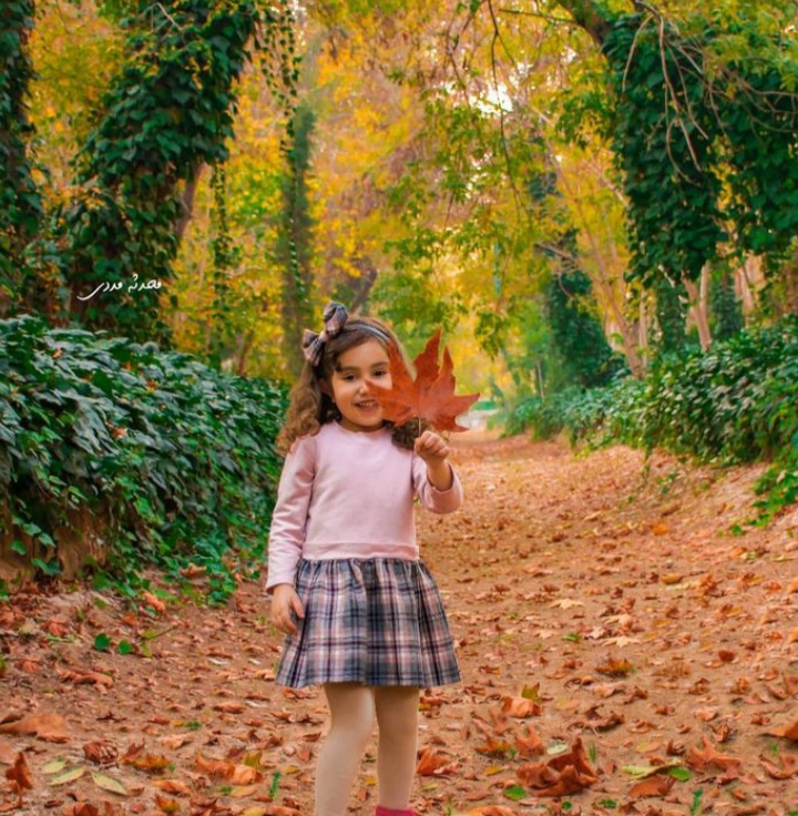 ژست عکس پاییزی (2)