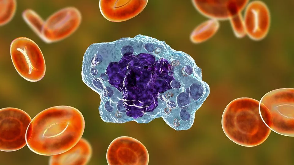 دانشمندان یک سلول تازه کشف کردند که ۱۰۰ سال قبل پیش‌بینی شده می بود