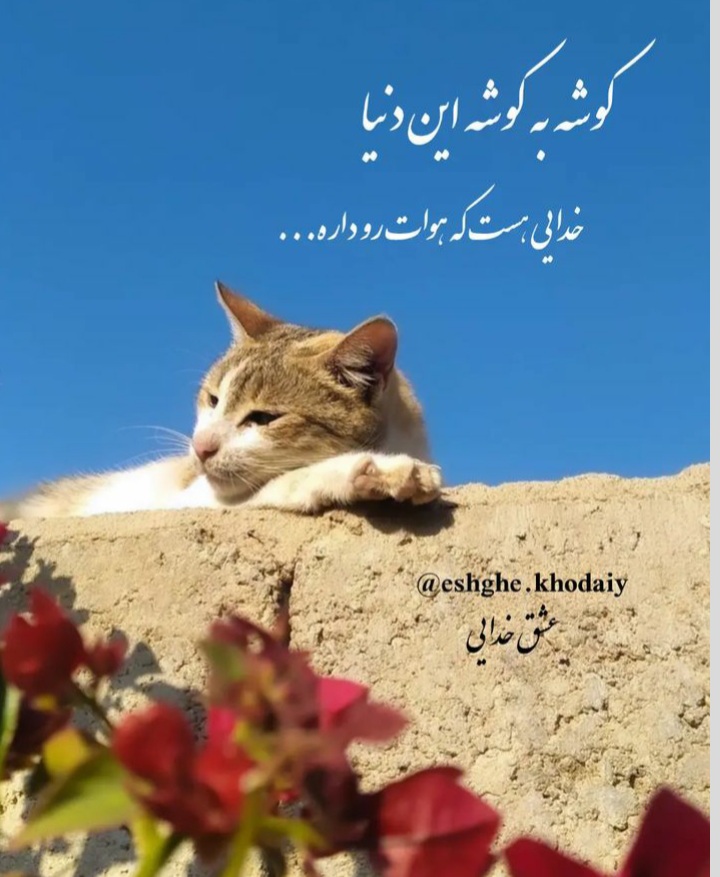 مجموعه ۶۰ عکس پروفایل و استوری با نام خدا برای اشتراکگذاری در شبکههای اجتماعی 18 God_s profile (45)