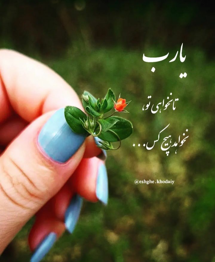 مجموعه ۶۰ عکس پروفایل و استوری با نام خدا برای اشتراکگذاری در شبکههای اجتماعی 29 God_s profile (34)