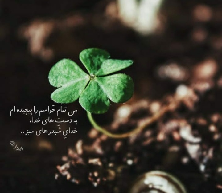 مجموعه ۶۰ عکس پروفایل و استوری با نام خدا برای اشتراکگذاری در شبکههای اجتماعی 34 God_s profile (29)