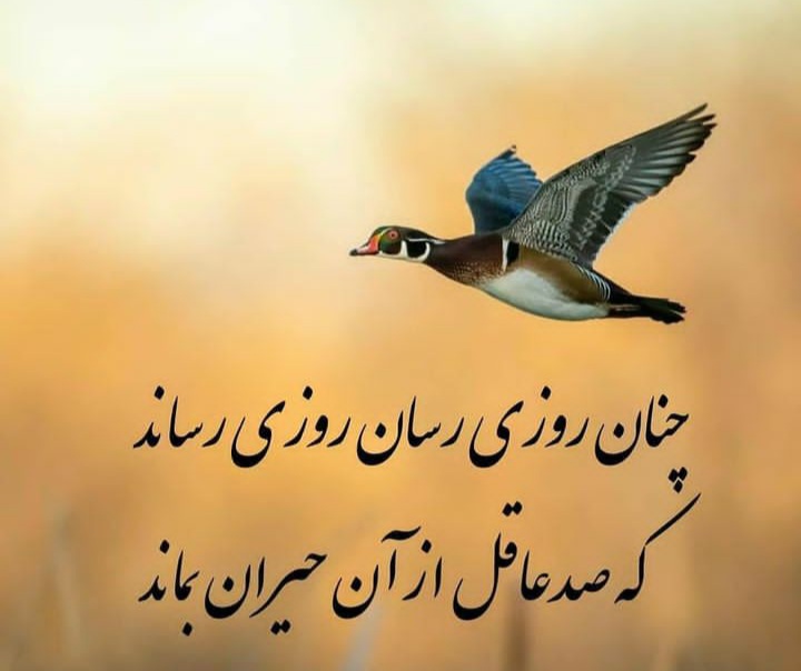 مجموعه ۶۰ عکس پروفایل و استوری با نام خدا برای اشتراکگذاری در شبکههای اجتماعی 53 God_s profile (10)