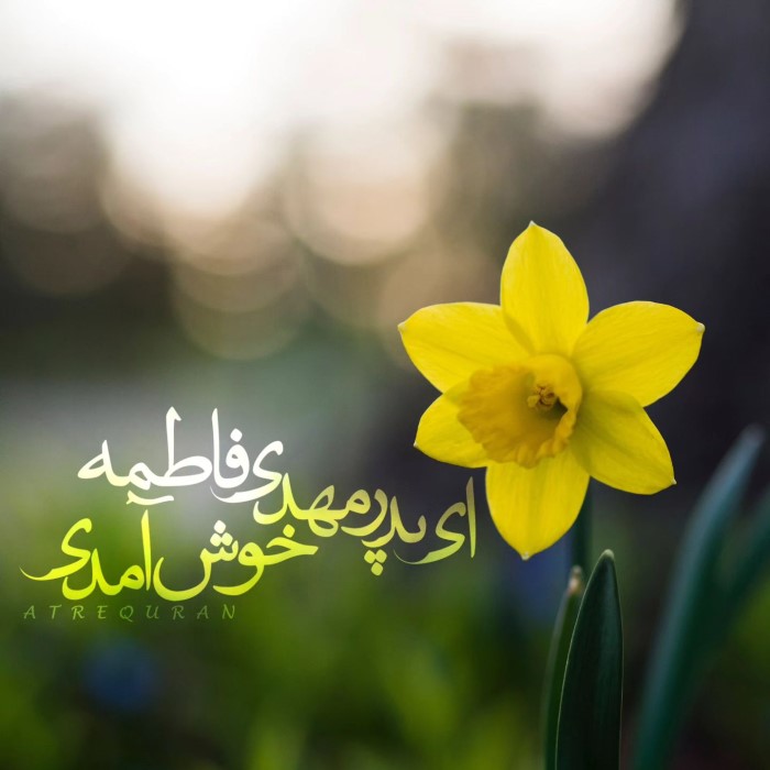 عکس نوشته تبریک ولادت امام حسن عسکری (9)