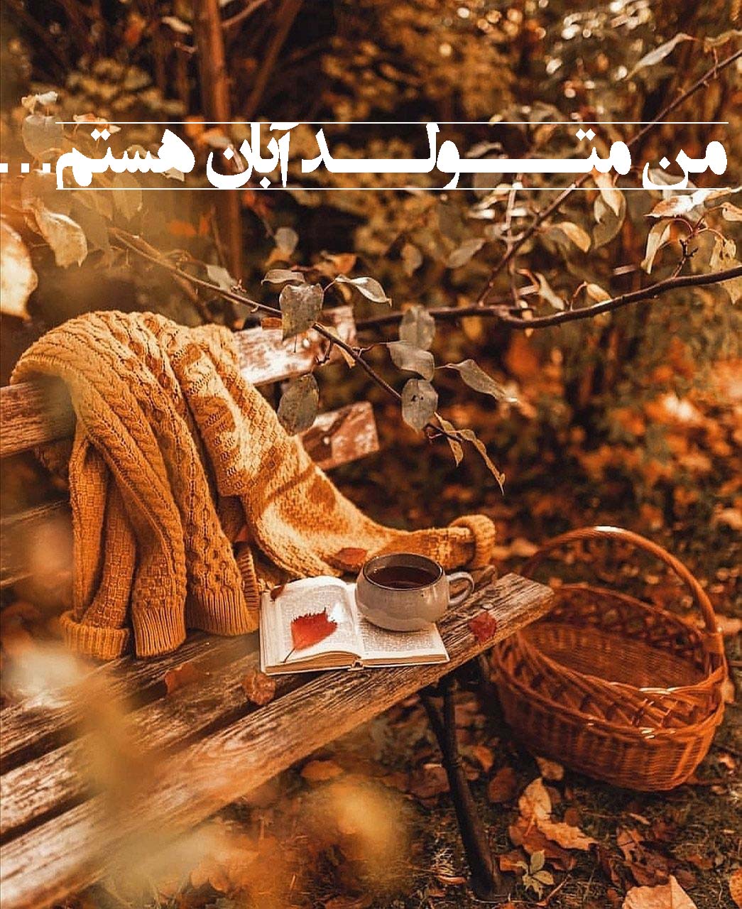 aban mahis profile picture (4)