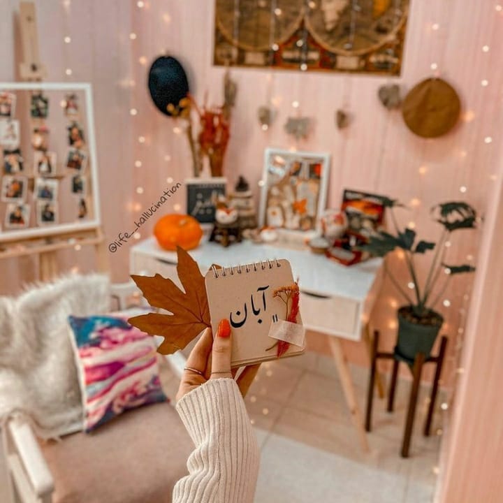 انتشار مجموعه عکسهای پروفایل و استوری آبانماهی در اینستاگرام 15 aban mahis profile picture (15)