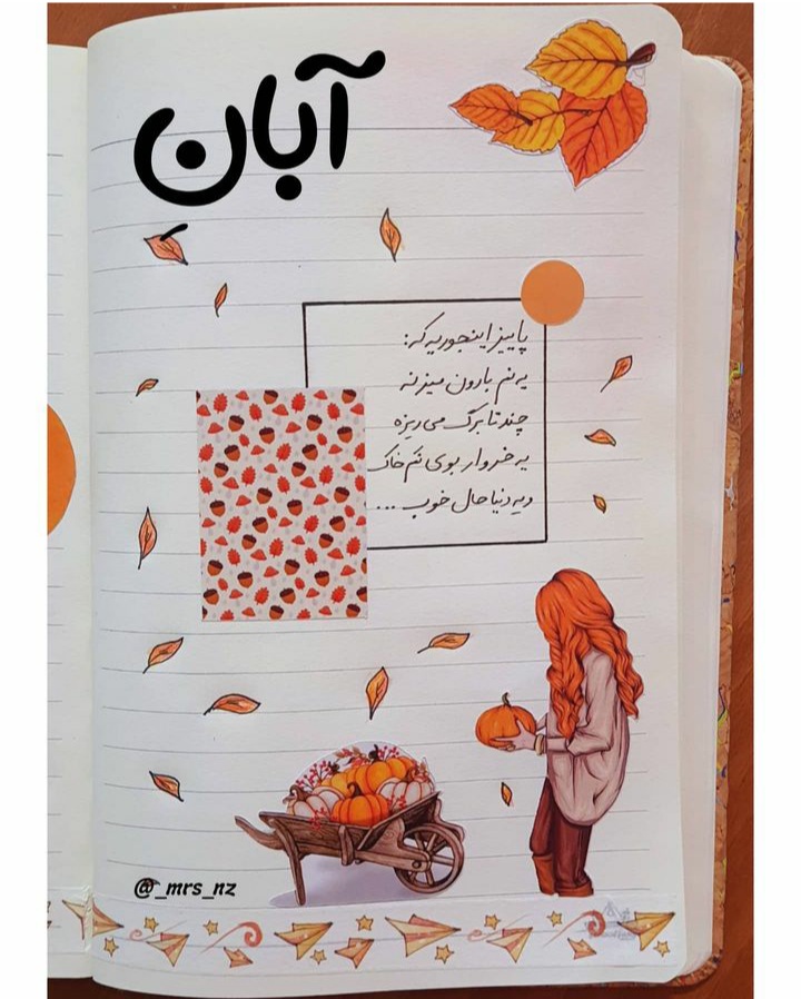 aban mahis profile picture (38)