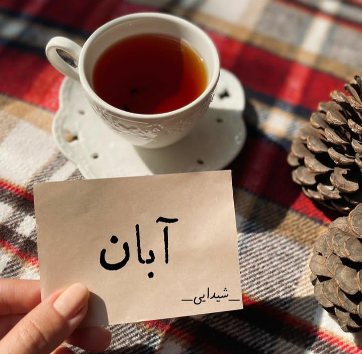 انتشار مجموعه عکسهای پروفایل و استوری آبانماهی در اینستاگرام 47 aban mahis profile picture (46)