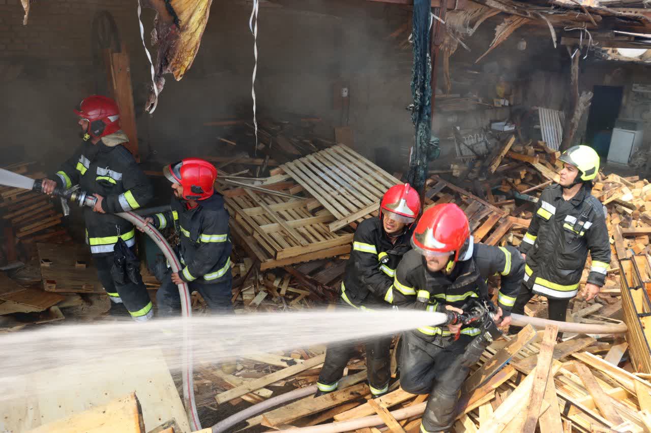 IMG_20241019_153427_160